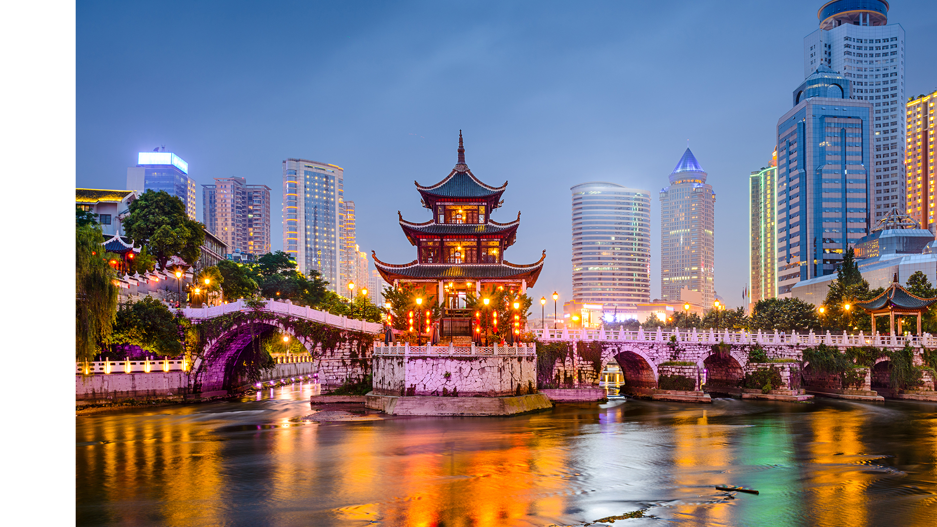 A close-up of green fern leaves