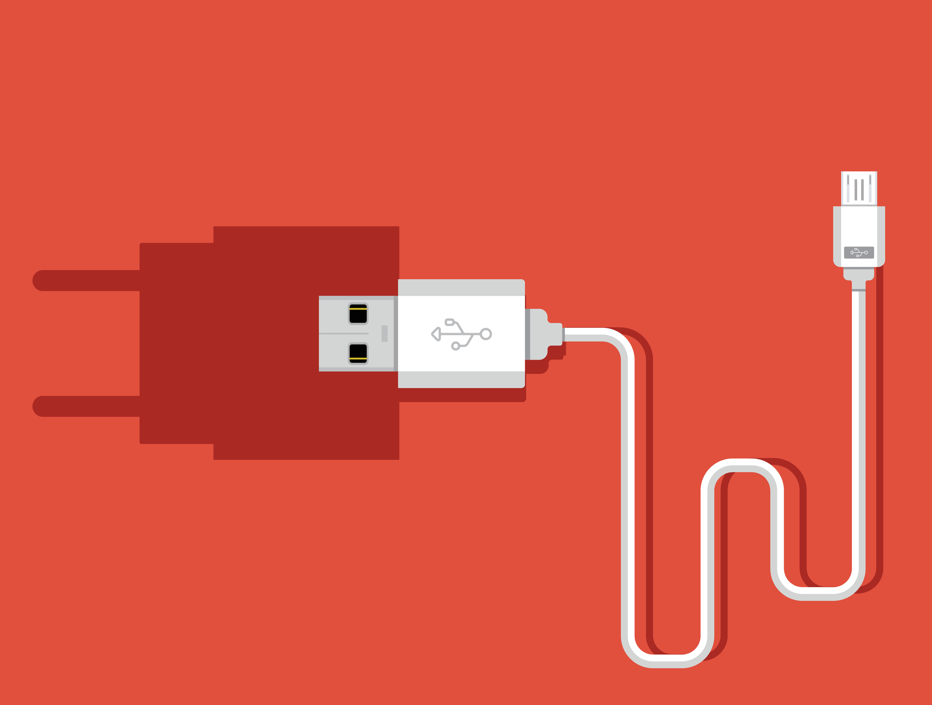 A close-up of green fern leaves