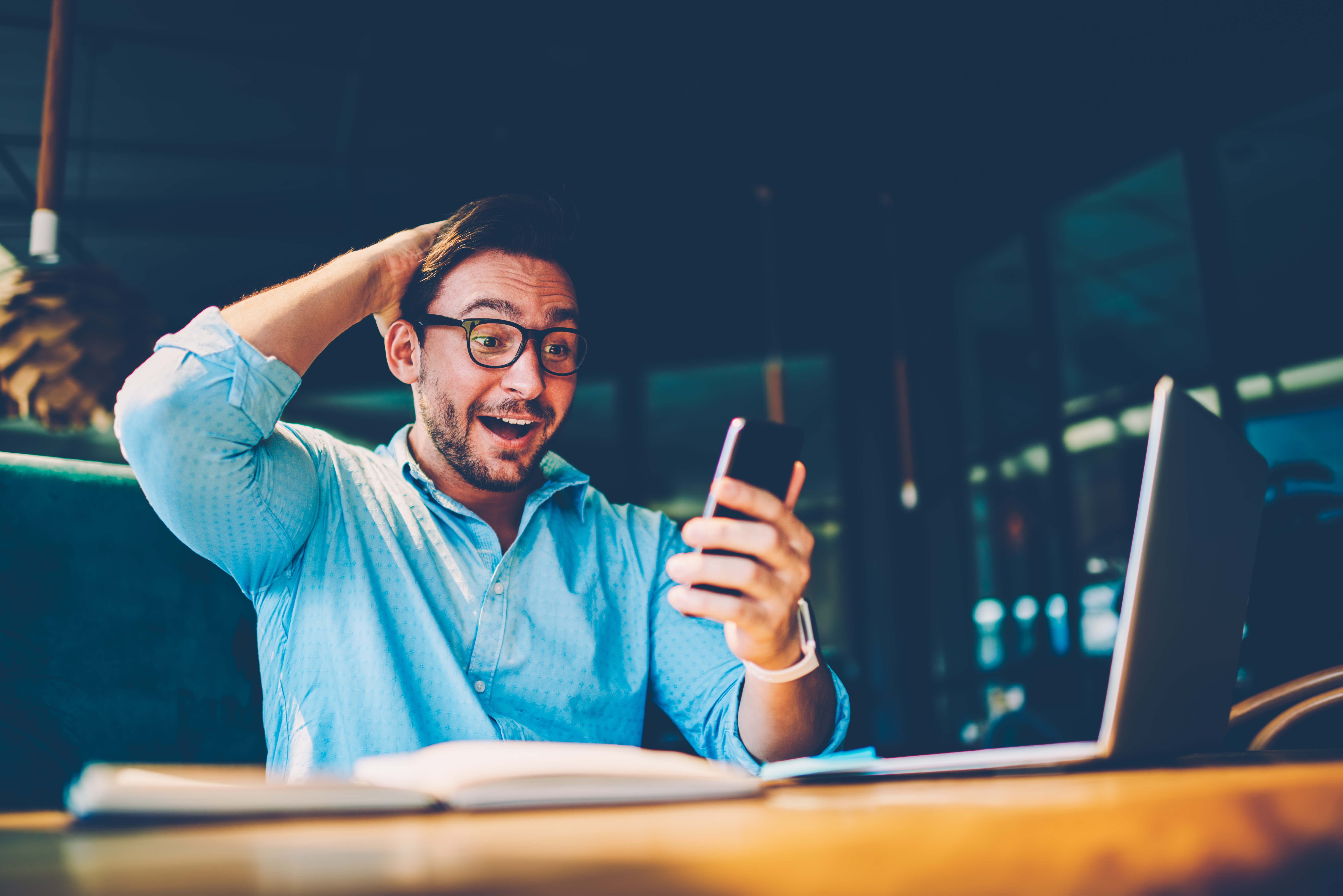 A close-up of several purple flowers with yellow centers. A few rain drops sit on the pettels