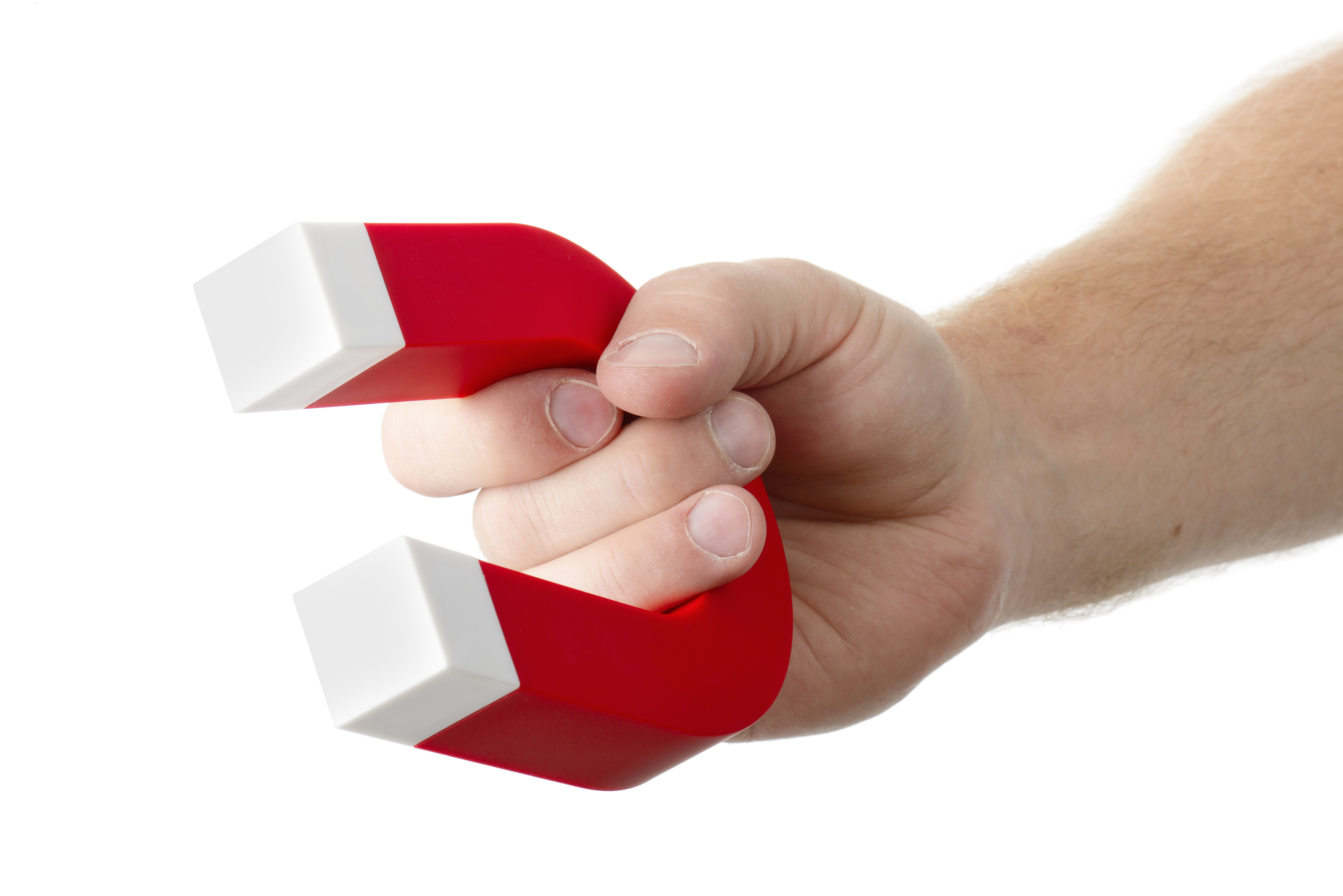 Focused on a single autumn leave hanging from a thin branch. More leaves appear out of focus in the background