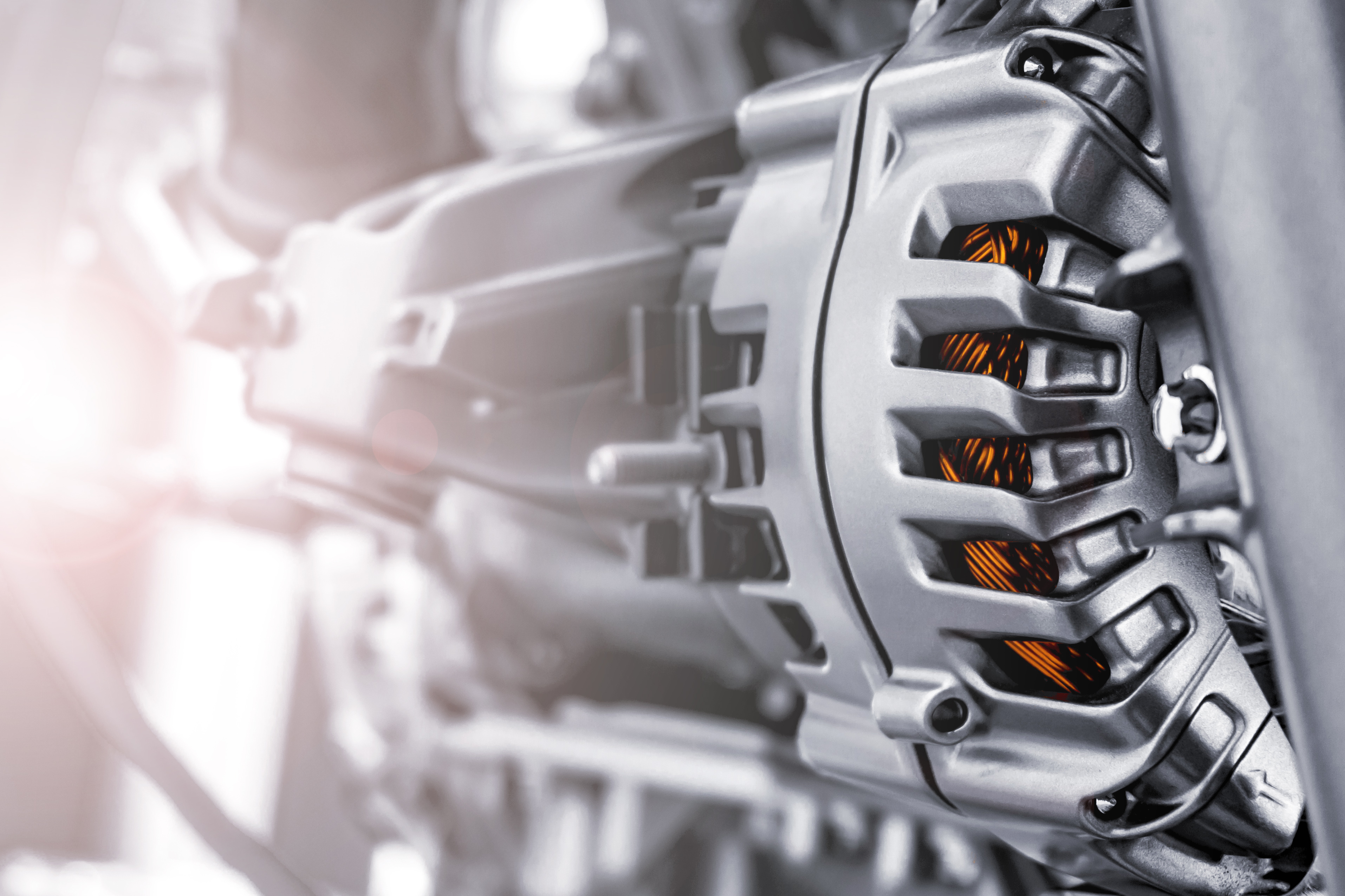 A close-up of several purple flowers with yellow centers. A few rain drops sit on the pettels