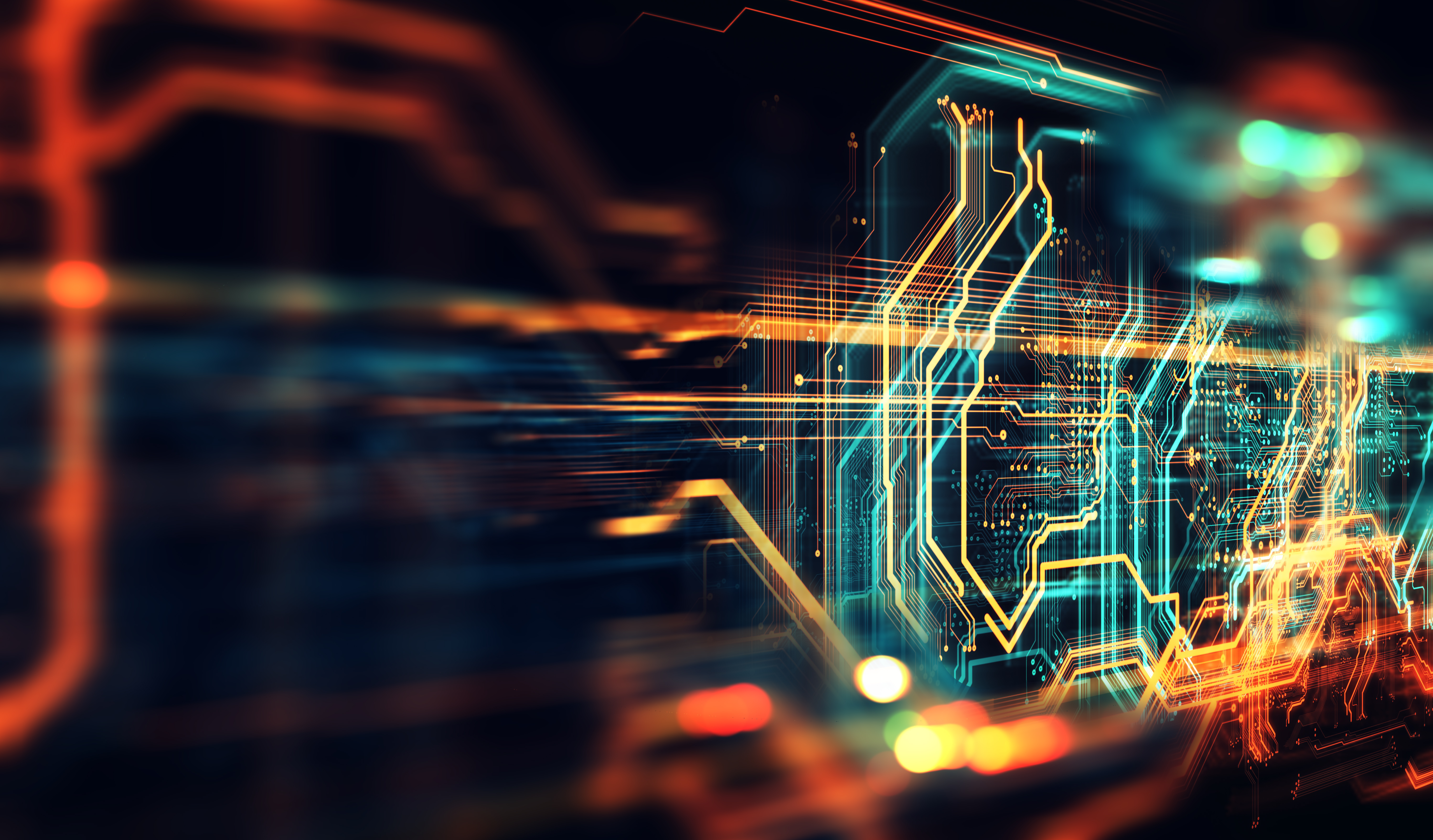 A close-up of several purple flowers with yellow centers. A few rain drops sit on the pettels