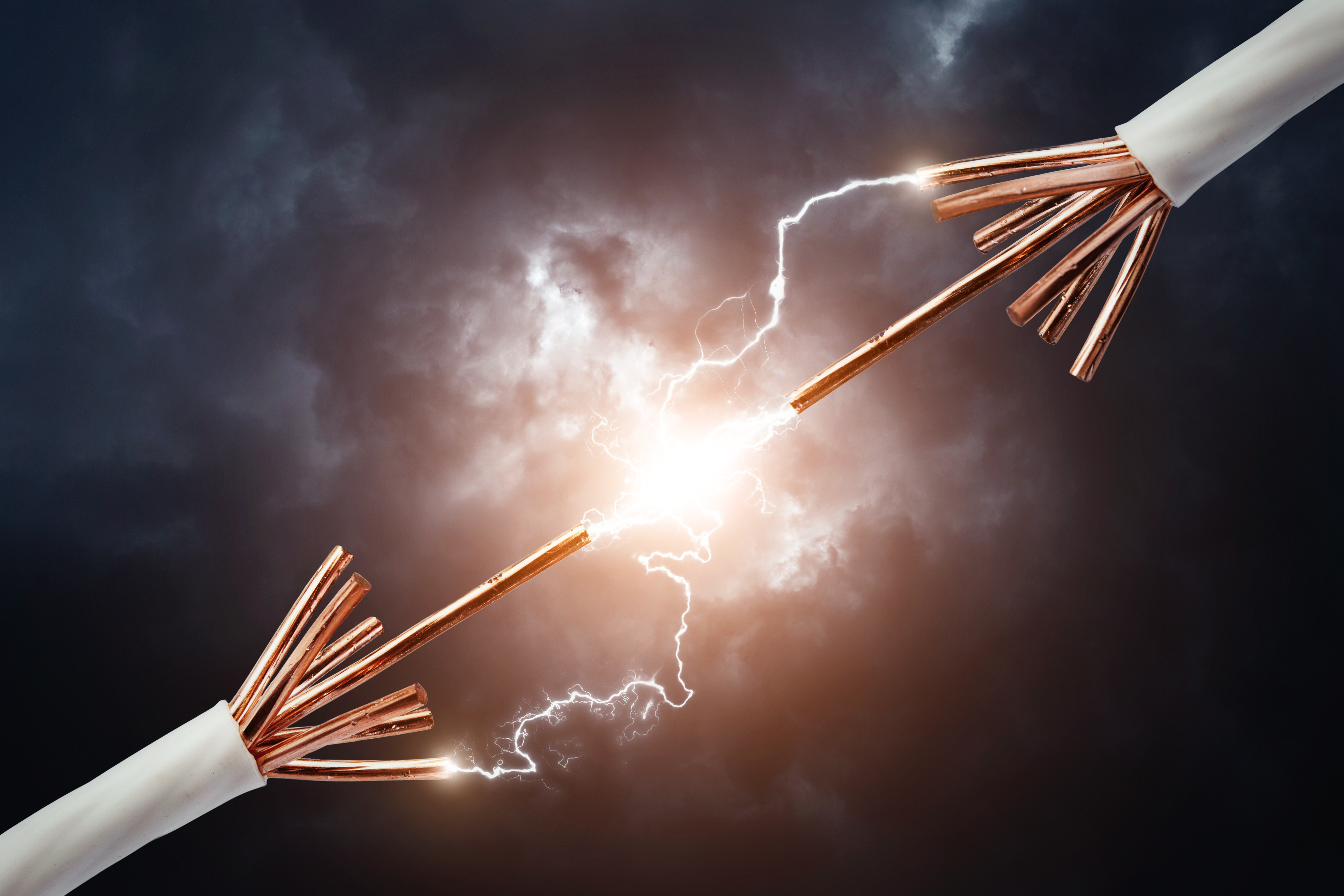 A close-up of several purple flowers with yellow centers. A few rain drops sit on the pettels